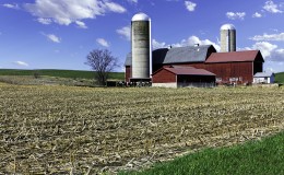 American Country Farm